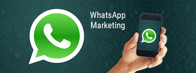 Whats App Marketing